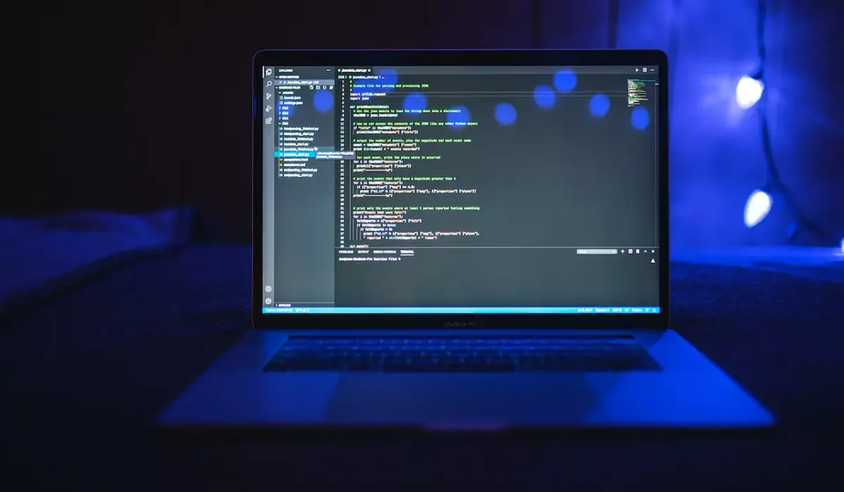 Какой IT-курс выбрать: какие навыки нужны и как выбрать образовательную программу

