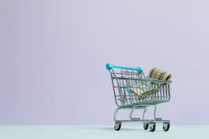 Жизненный цикл продукта: что это такое