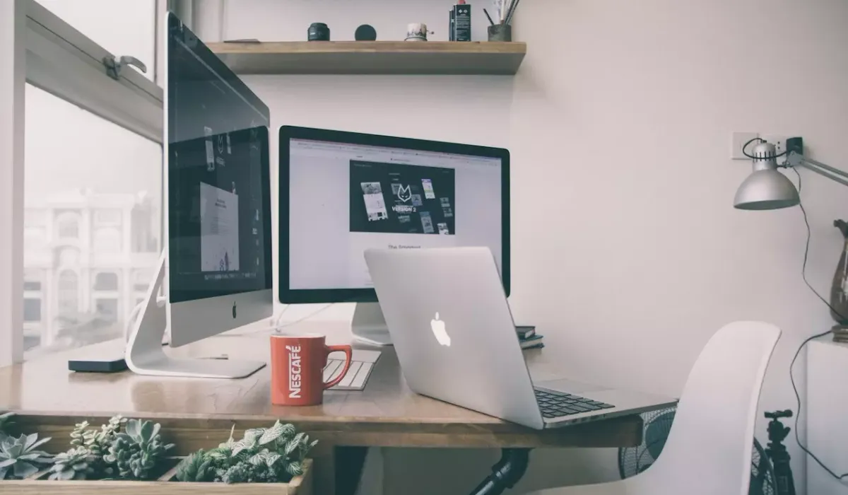 Веб-дизайнер: кто это, что делает и сколько зарабатывает
